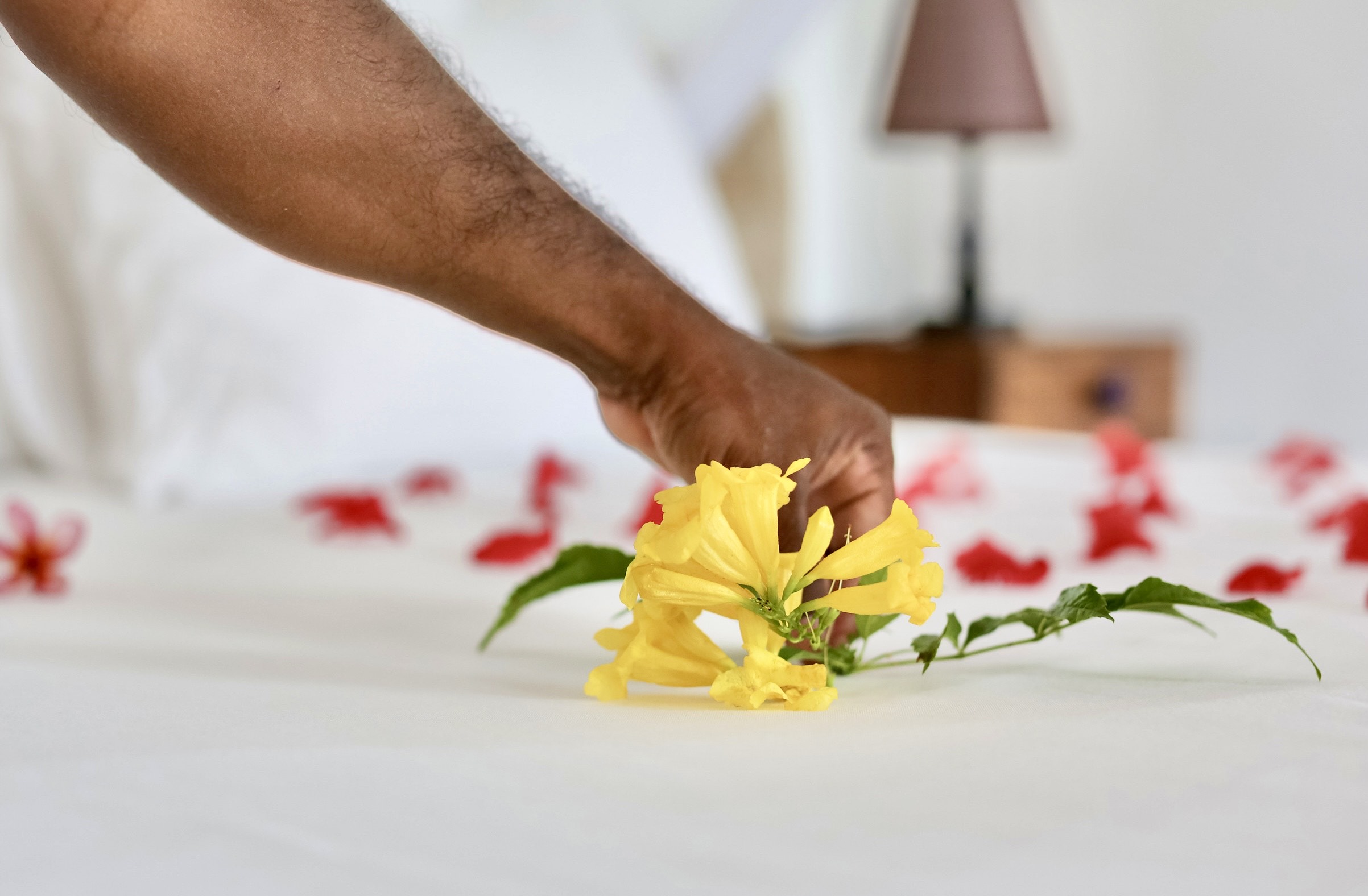 Ayurveda Kur in Sri Lanka