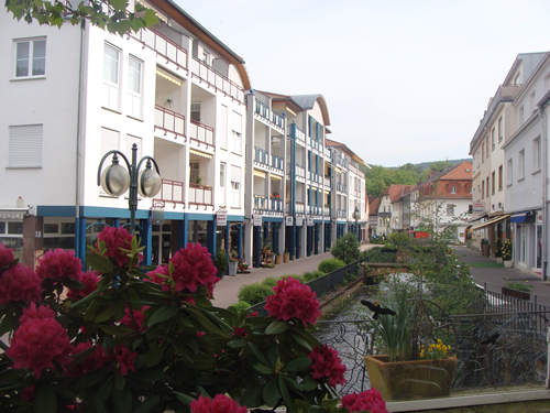 Bad Orb - Sathya Ayurveda Villa am Park