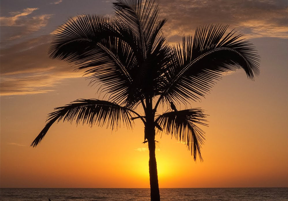 Indien - Kerala - Meiveda