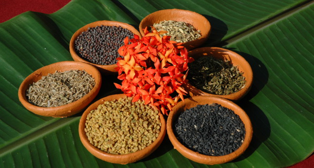 Sri Lanka - Südwestküste - Hiru Villa´s