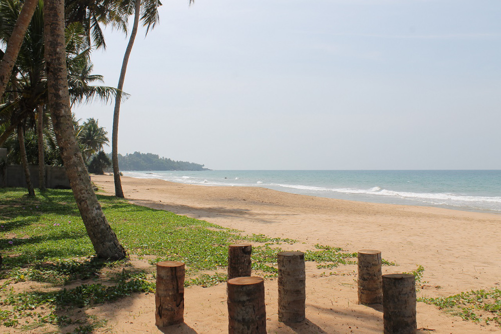 ANANDA Ayurveda Resort