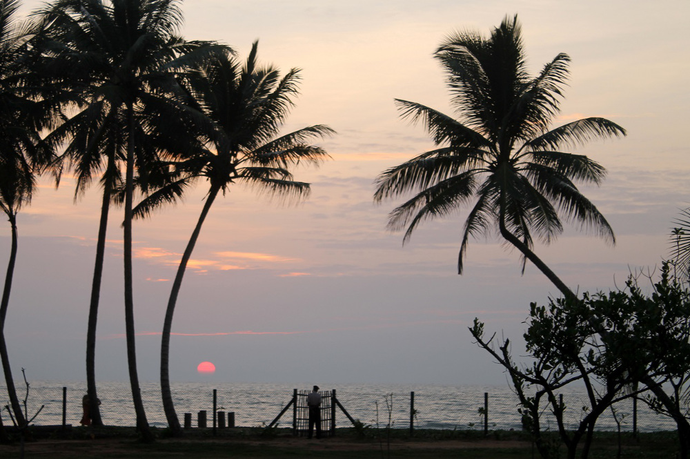 ANANDA Ayurveda Resort