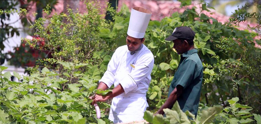Sri Lanka - Lotus Villa