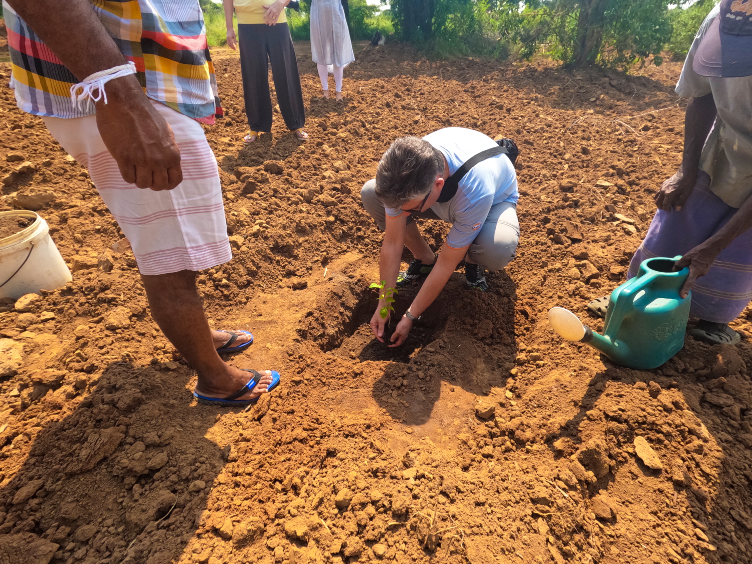 Thaulle Organic Farm