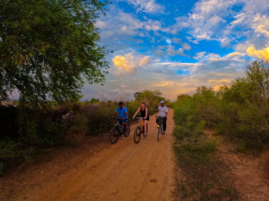 Thaulle Organic Farm