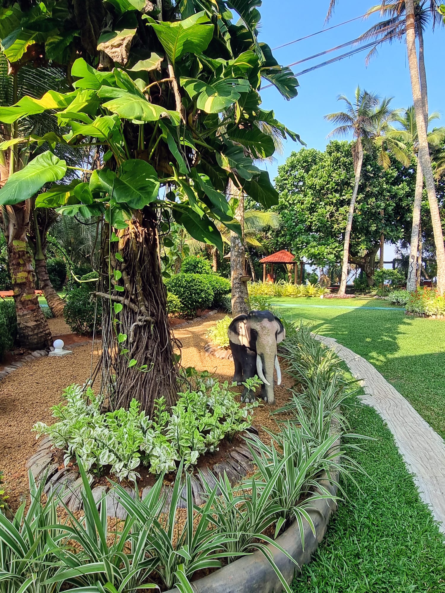 Hiru Om Ayurveda Resort Garten